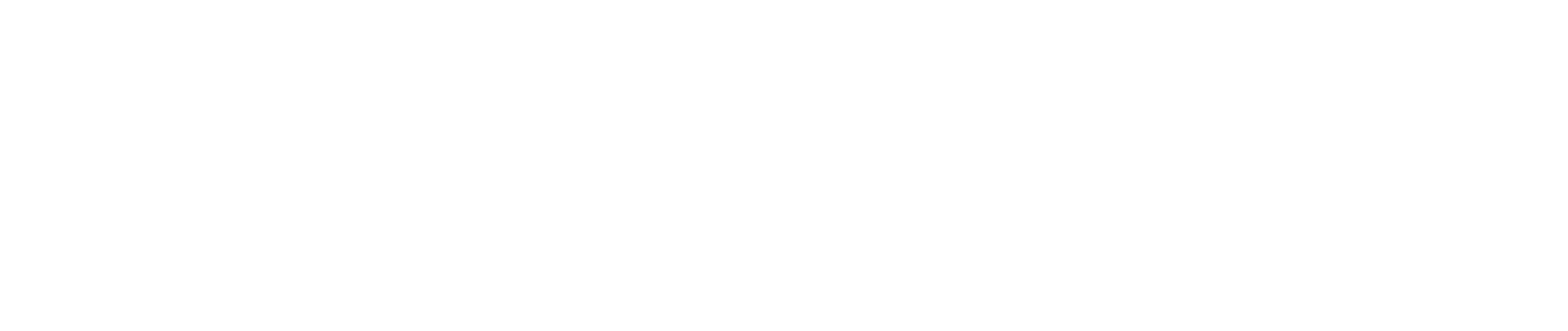 Transport Innovation Association